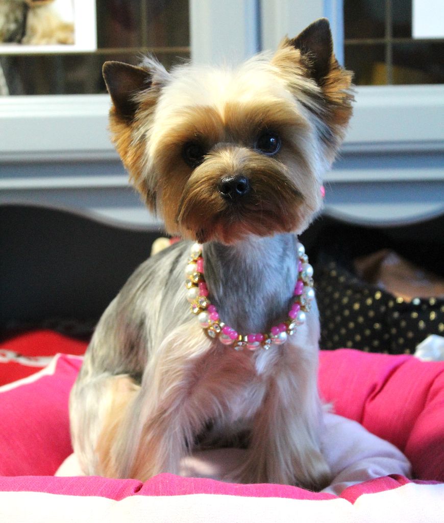 Sonie du jardin de ianie